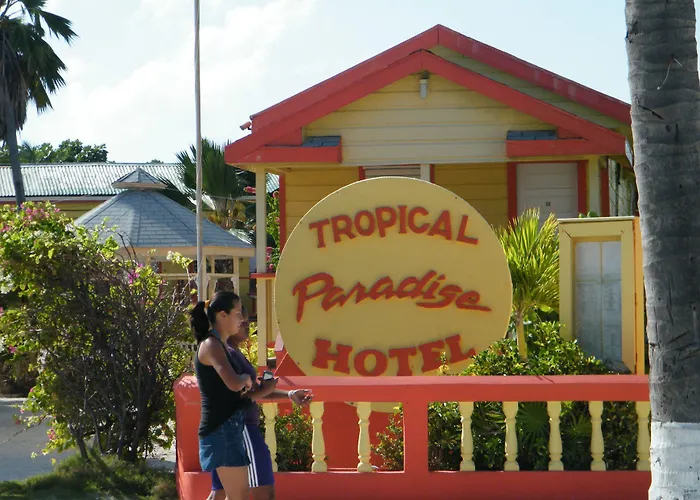 Tropical Paradise