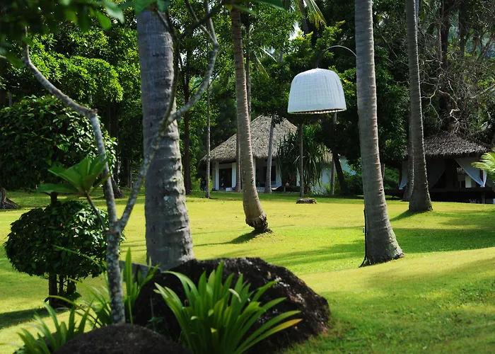 The Jungle Club