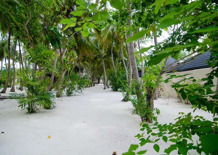 Summer Island Maldives