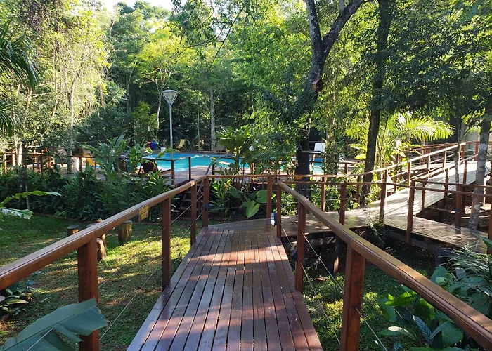 Selva De Laurel