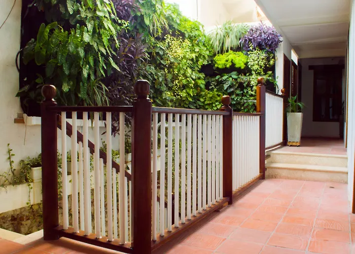 Casa Ebano 967