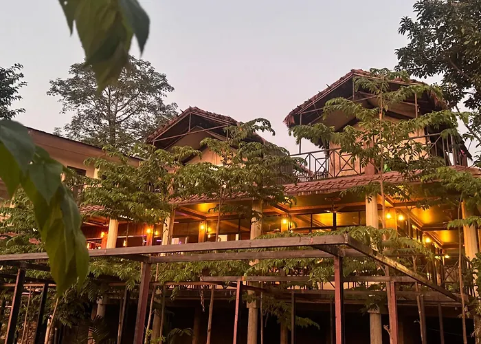 Jungle Wildlife Camp