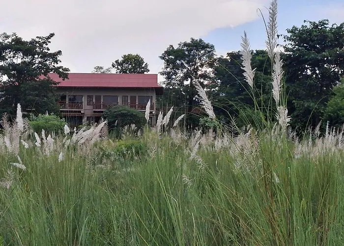 River View Jungle Camp