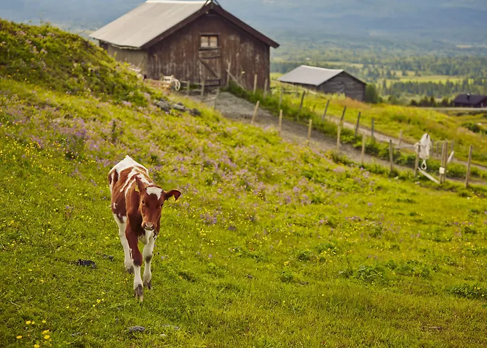 Storefjell Resort