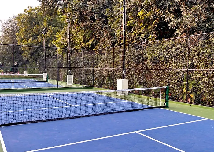 Dlf Club 3