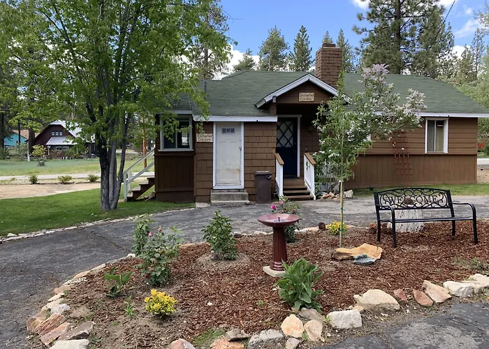 Grey Squirrel Resort