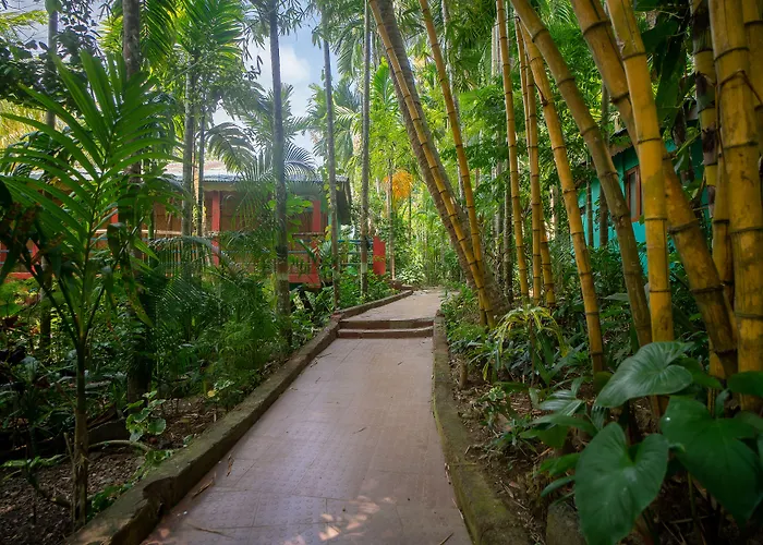 Palm Grove Eco Resort