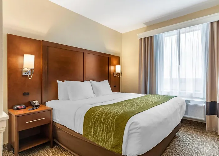 Comfort Suites San Antonio Ft Sam Houston-Sammc Area