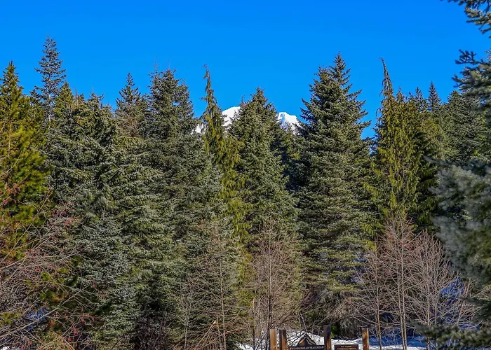 Thunderhead Lodge #301 - Meredith Lodging
