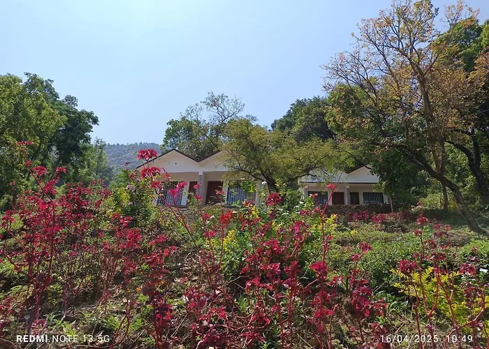 Amber Mount Resorts