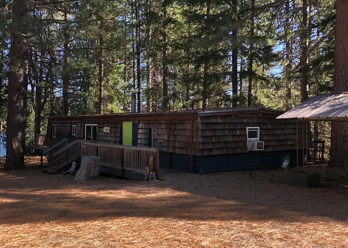 Lake Siskiyou Camp Resort