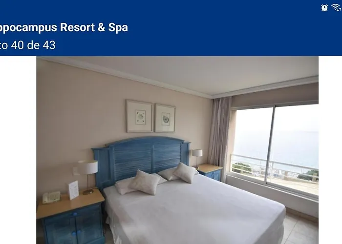 Hippocampus Vina Del Mar Resort
