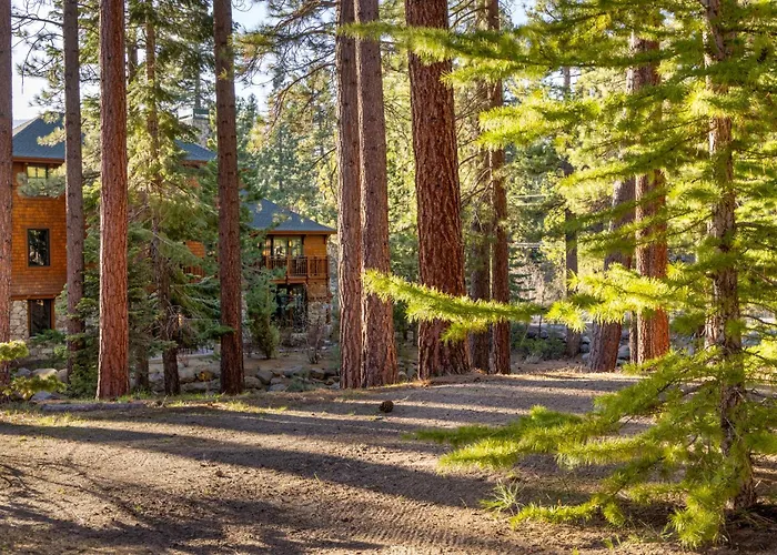 Hyatt Vacation Club At High Sierra Lodge