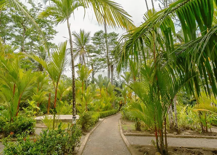 Bungalows Beachfront Hotel
