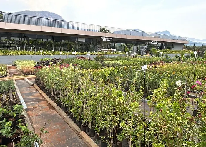 7 Tree Resort & Restaurant