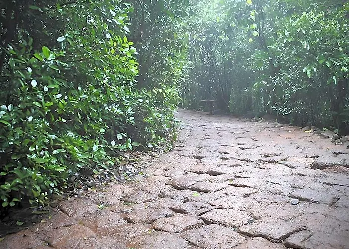 Wildernest Nature Resort