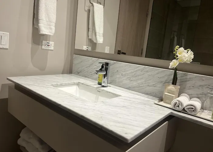 York Medellin, Curio Collection By Hilton