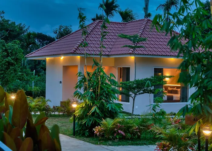 Manayath Wayanad Premium Pool Resort