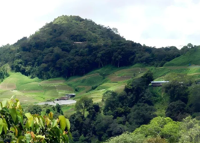 Nikgold Garden Resort Kundasang