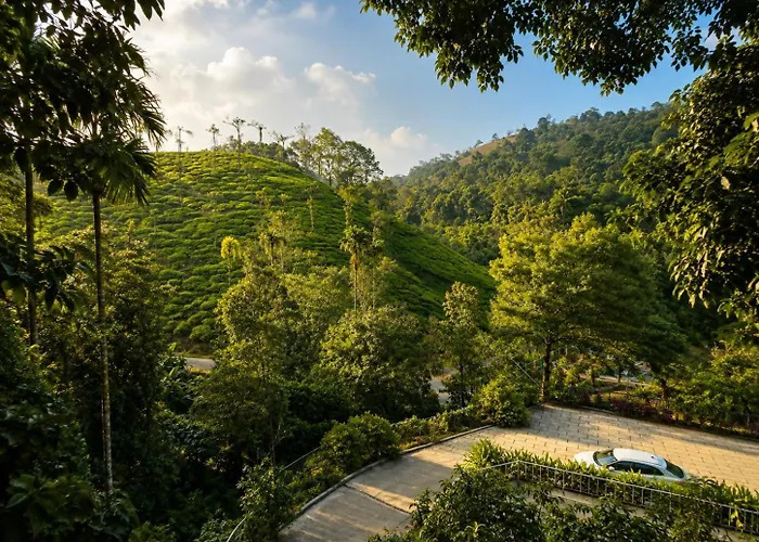 T Hill Vythiri Pool Resort - Family & Couple Bookings Only