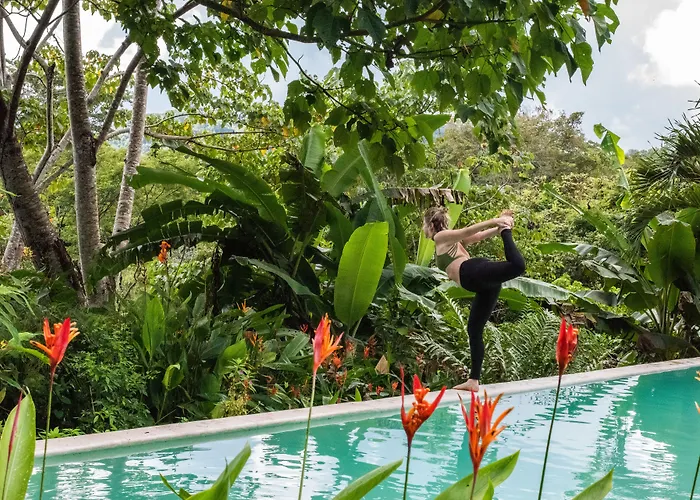 Jungle Lodge At Wild Sun Rescue Center