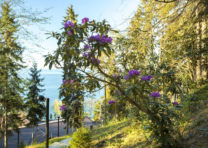 Hancioglu Orman Evleri & Hotel