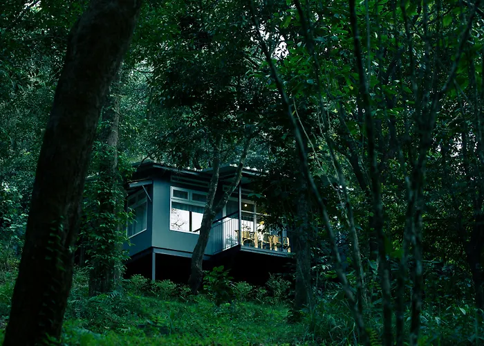 Wayanad Wild - A Cgh Earth Experience
