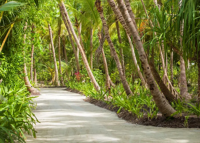 Dusit Thani Maldives - Mudhdhoo Island, Baa Atoll