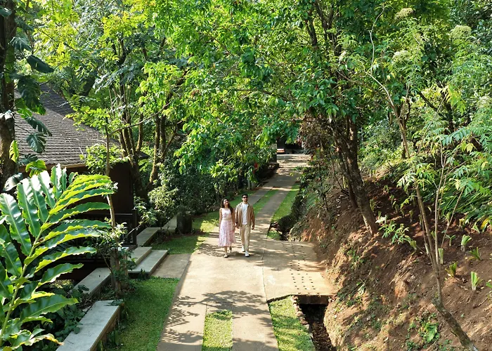 The Tamara Coorg