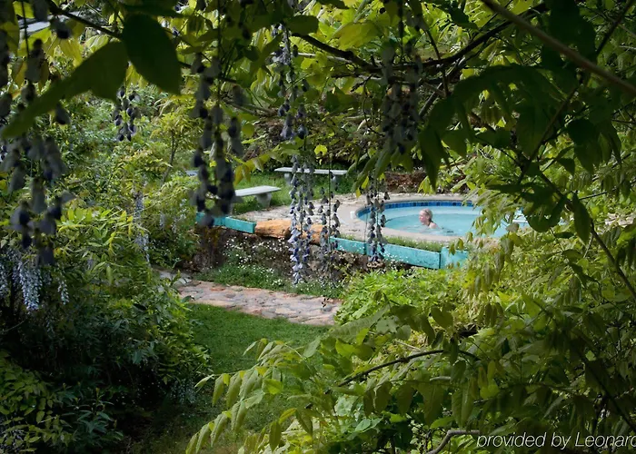Vichy Springs Resort