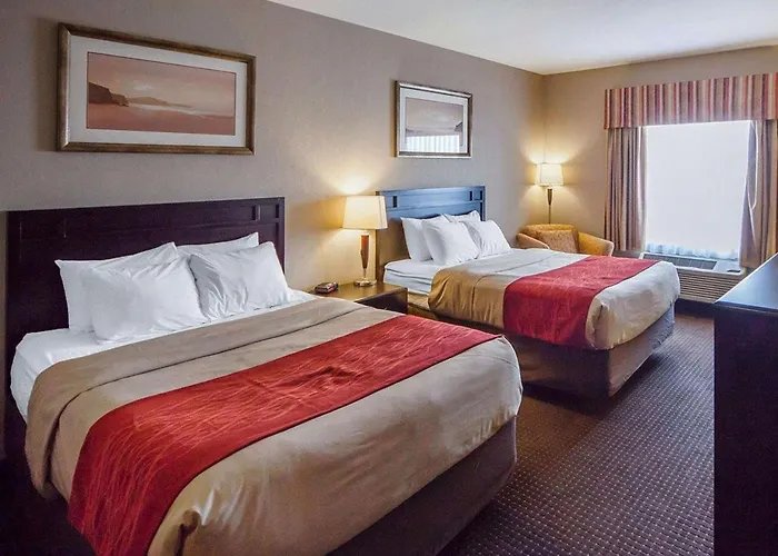 Comfort Inn & Suites Sylvan Lake
