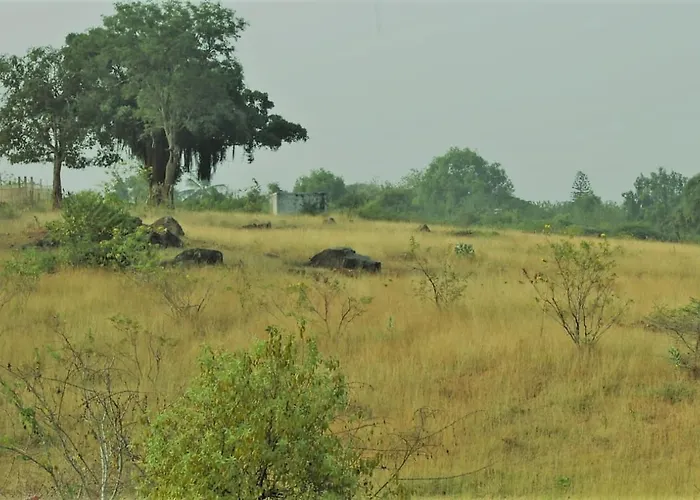 Aarraams Farms & Resorts
