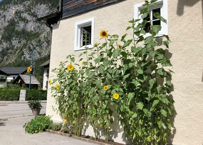 Fenix Hall Boutique Hotel Hallstatt